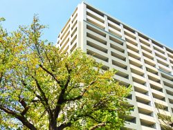 快適な環境を！オフィス・マンション清掃の必要性とその内容について